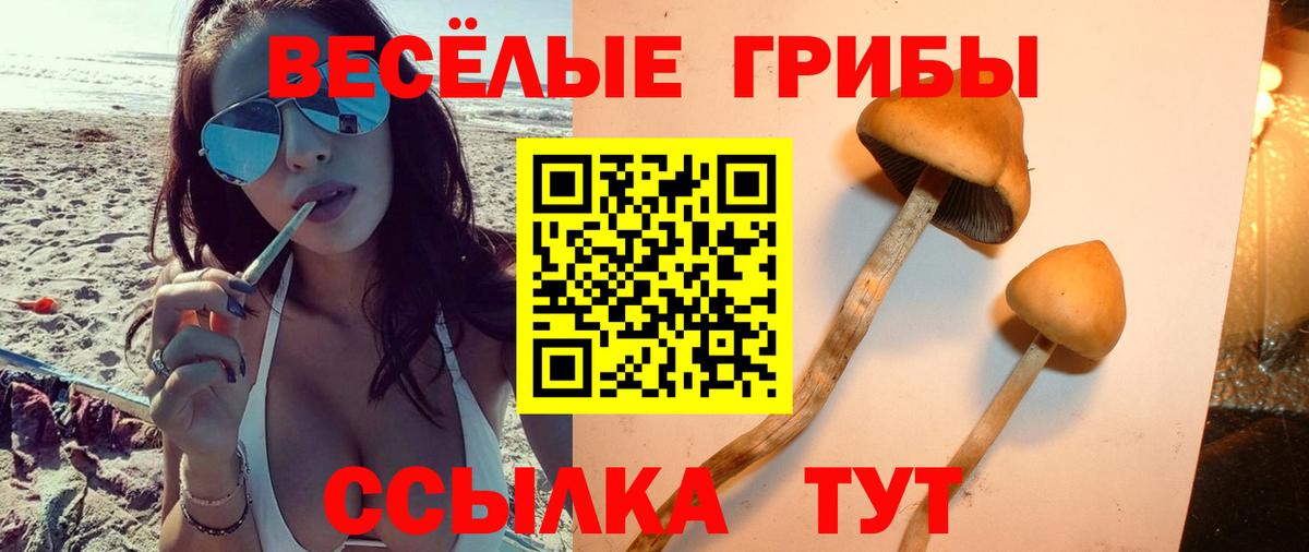 Галлюциногенные грибы мухоморы  Вход с VPN  Чебаркуль 